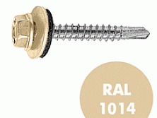 Саморез кровельный RAL-1014  5,5x19 (250шт)