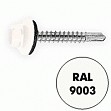 Саморез кровельный RAL-9003  5,5x19 (250шт)